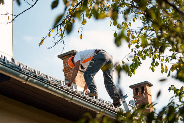 Best Slate Roofing Contractor  in Bismarck, ND