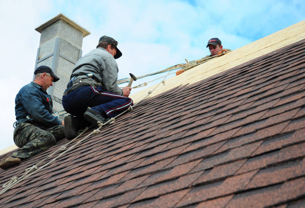 Best New Roof Installation  in Bismarck, ND